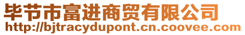 畢節(jié)市富進商貿(mào)有限公司