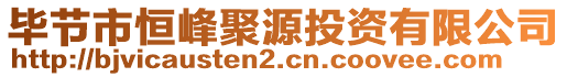 畢節(jié)市恒峰聚源投資有限公司