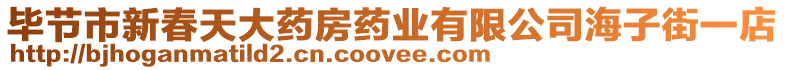 畢節(jié)市新春天大藥房藥業(yè)有限公司海子街一店