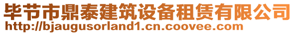 畢節(jié)市鼎泰建筑設(shè)備租賃有限公司