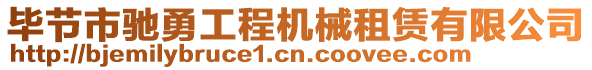 畢節(jié)市馳勇工程機(jī)械租賃有限公司