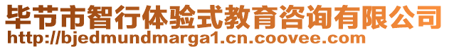 畢節(jié)市智行體驗式教育咨詢有限公司