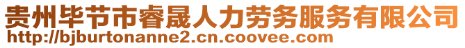 貴州畢節(jié)市睿晟人力勞務(wù)服務(wù)有限公司