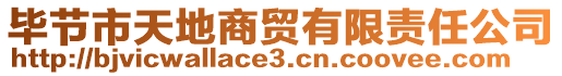 畢節(jié)市天地商貿(mào)有限責(zé)任公司