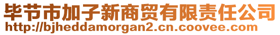 畢節(jié)市加子新商貿(mào)有限責(zé)任公司