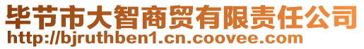 畢節(jié)市大智商貿(mào)有限責(zé)任公司