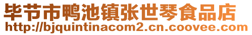 畢節(jié)市鴨池鎮(zhèn)張世琴食品店