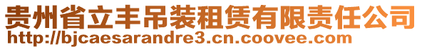 貴州省立豐吊裝租賃有限責(zé)任公司