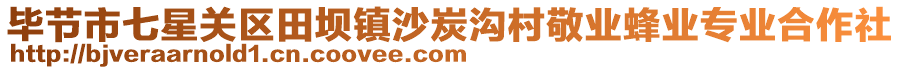 畢節(jié)市七星關(guān)區(qū)田壩鎮(zhèn)沙炭溝村敬業(yè)蜂業(yè)專(zhuān)業(yè)合作社