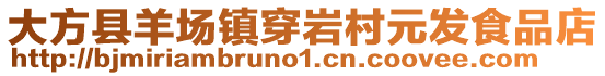 大方縣羊場(chǎng)鎮(zhèn)穿巖村元發(fā)食品店