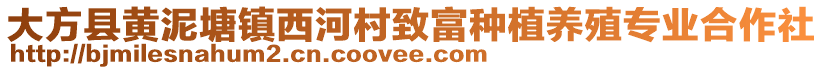 大方縣黃泥塘鎮(zhèn)西河村致富種植養(yǎng)殖專(zhuān)業(yè)合作社