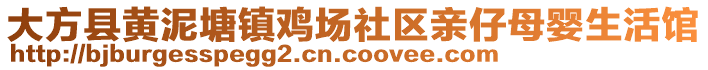大方縣黃泥塘鎮雞場社區親仔母嬰生活館