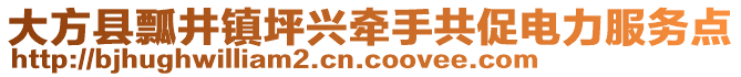 大方縣瓢井鎮坪興牽手共促電力服務點