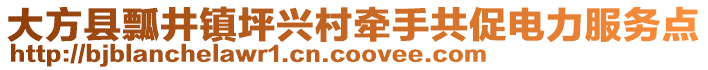 大方縣瓢井鎮(zhèn)坪興村牽手共促電力服務(wù)點(diǎn)