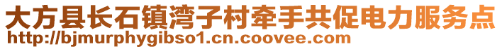 大方縣長(zhǎng)石鎮(zhèn)灣子村牽手共促電力服務(wù)點(diǎn)