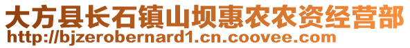 大方县长石镇山坝惠农农资经营部