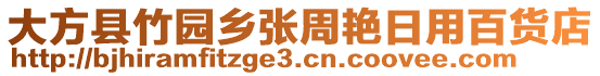 大方縣竹園鄉(xiāng)張周艷日用百貨店