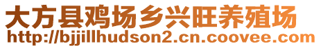 大方縣雞場鄉(xiāng)興旺養(yǎng)殖場