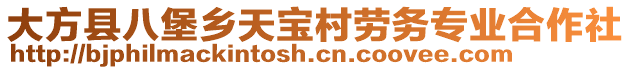 大方縣八堡鄉(xiāng)天寶村勞務(wù)專業(yè)合作社