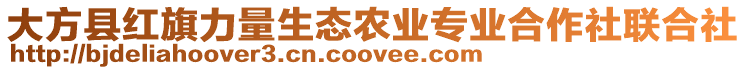 大方縣紅旗力量生態農業專業合作社聯合社