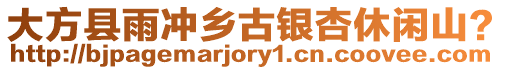 大方縣雨沖鄉古銀杏休閑山？
