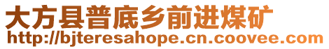 大方縣普底鄉前進煤礦
