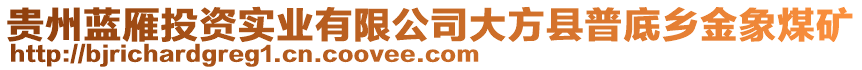 貴州藍(lán)雁投資實(shí)業(yè)有限公司大方縣普底鄉(xiāng)金象煤礦