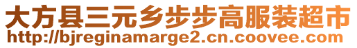 大方縣三元鄉(xiāng)步步高服裝超市