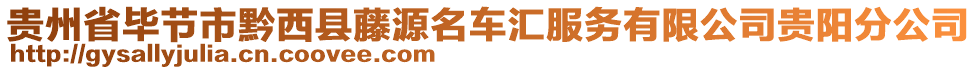 貴州省畢節(jié)市黔西縣藤源名車匯服務(wù)有限公司貴陽分公司