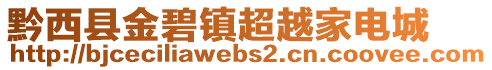 黔西縣金碧鎮(zhèn)超越家電城