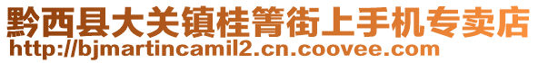 黔西縣大關(guān)鎮(zhèn)桂箐街上手機(jī)專賣店