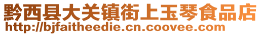 黔西縣大關(guān)鎮(zhèn)街上玉琴食品店