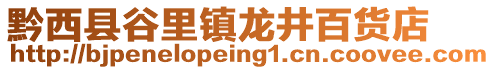 黔西縣谷里鎮(zhèn)龍井百貨店