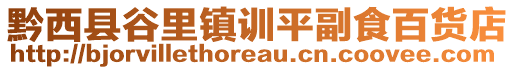 黔西縣谷里鎮(zhèn)訓(xùn)平副食百貨店