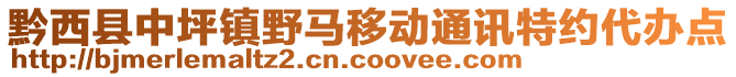 黔西縣中坪鎮(zhèn)野馬移動(dòng)通訊特約代辦點(diǎn)