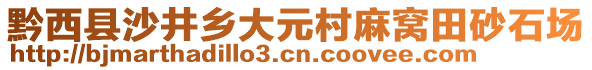 黔西縣沙井鄉(xiāng)大元村麻窩田砂石場(chǎng)