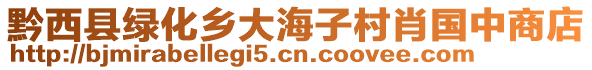 黔西縣綠化鄉大海子村肖國中商店