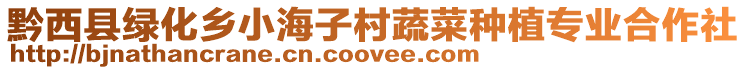 黔西縣綠化鄉小海子村蔬菜種植專業合作社
