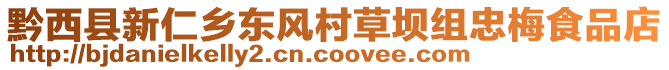 黔西縣新仁鄉東風村草壩組忠梅食品店