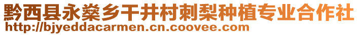 黔西縣永燊鄉(xiāng)干井村刺梨種植專業(yè)合作社