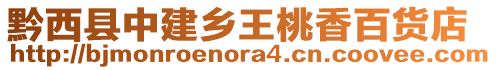 黔西縣中建鄉(xiāng)王桃香百貨店