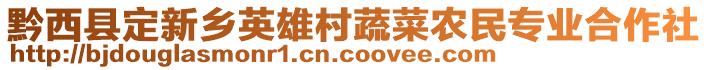 黔西縣定新鄉(xiāng)英雄村蔬菜農(nóng)民專業(yè)合作社