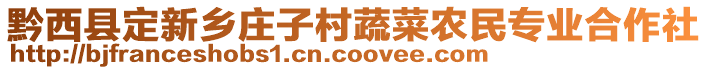 黔西縣定新鄉(xiāng)莊子村蔬菜農(nóng)民專業(yè)合作社