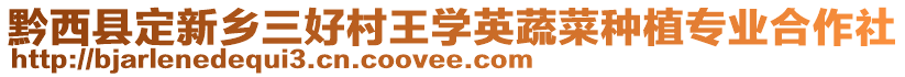 黔西縣定新鄉(xiāng)三好村王學英蔬菜種植專業(yè)合作社