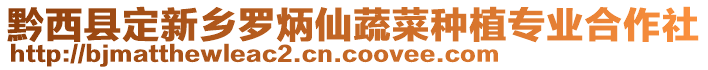 黔西縣定新鄉(xiāng)羅炳仙蔬菜種植專業(yè)合作社