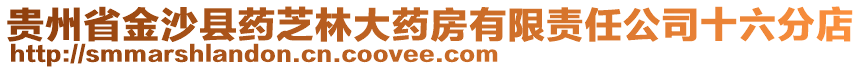 貴州省金沙縣藥芝林大藥房有限責任公司十六分店