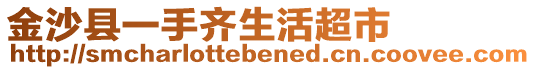 金沙县一手齐生活超市