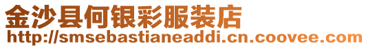 金沙縣何銀彩服裝店