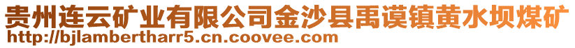貴州連云礦業有限公司金沙縣禹謨鎮黃水壩煤礦