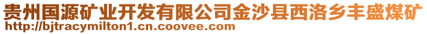 貴州國(guó)源礦業(yè)開(kāi)發(fā)有限公司金沙縣西洛鄉(xiāng)豐盛煤礦